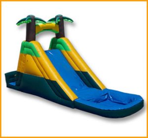 Tropical Water Slide