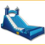 14′ Wet and Dry Dolphin Slide W025
