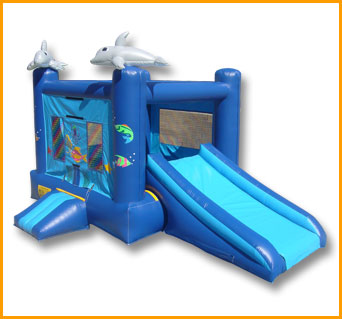 2 in 1 Mini Sea World Combo C036