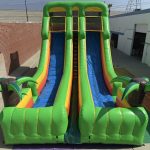 20′ Dual Lane Tropical Slide S041