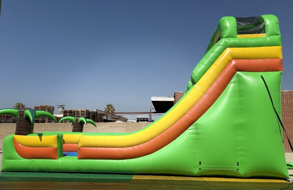 20′ Dual Lane Tropical Slide S041