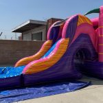 3 in 1 Wet & Dry Flamingo Combo C166