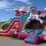 Dual Lane Wet & Dry Unicorn Combo #2 C173