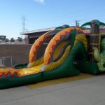 Dino Twins Wet & Dry Combo C175